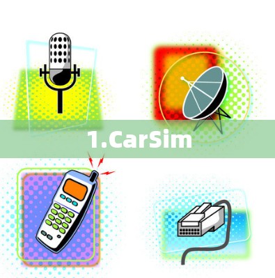 1.CarSim