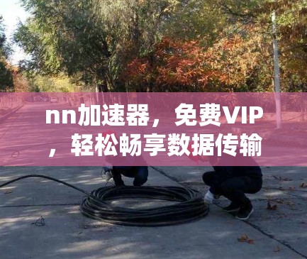 nn加速器,免费VIP,轻松畅享数据传输