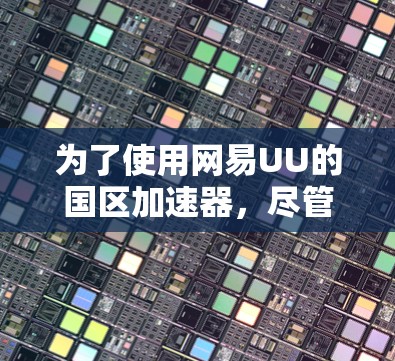 为了使用网易UU的国区加速器，尽管价格较高，但它是国内领先的加速软件，提供多样化的加速选项。以下是一步步的指导