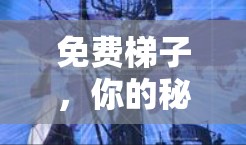 免费梯子,你的秘密武器
