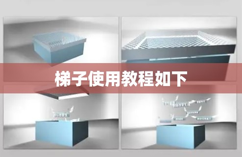 梯子使用教程如下