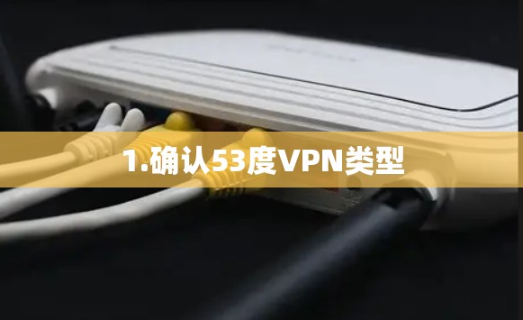 1.确认53度VPN类型