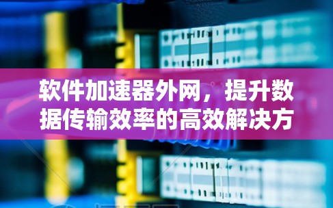 软件加速器外网，提升数据传输效率的高效解决方案