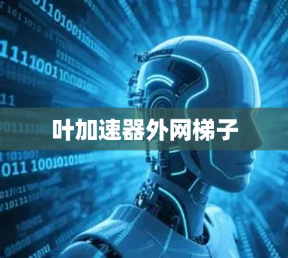 叶加速器外网梯子
