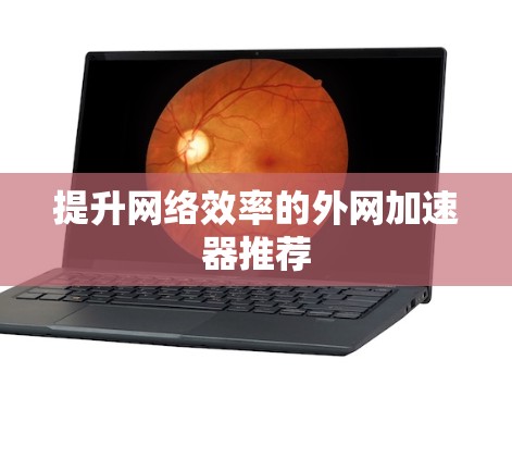 提升网络效率的外网加速器推荐