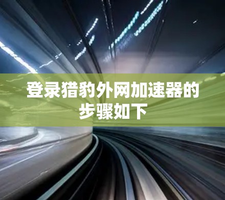 登录猎豹外网加速器的步骤如下