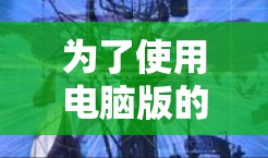 为了使用电脑版的梯子外网加速器提升网络性能，您可以按照以下步骤进行