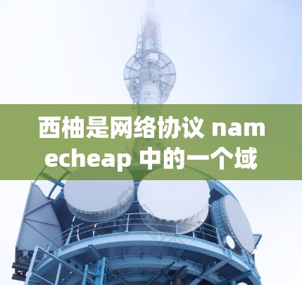 西柚是网络协议 namecheap 中的一个域名，通常用于表示特定类型的网络或连接。如果您是指使用与西柚相关的网络加速器，可能需要明确一下您具体指的是哪种类型的加速器