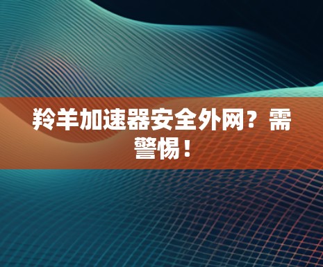 羚羊加速器安全外网？需警惕！