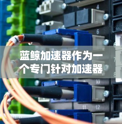 蓝鲸加速器作为一个专门针对加速器功能的外部网站,其功能和使用需要谨慎处理,以确保安全性和系统兼容性。以下是对蓝鲸加速器的详细分析和建议 蓝鲸加速器作为一个专门针对加速器功能的外部网站,其功能和使用需要谨慎处理,以确保安全性和系统兼容性。以下是对蓝鲸加速器的详细分析和建议