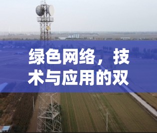 绿色网络,技术与应用的双刃剑 绿色网络,技术与应用的双刃剑