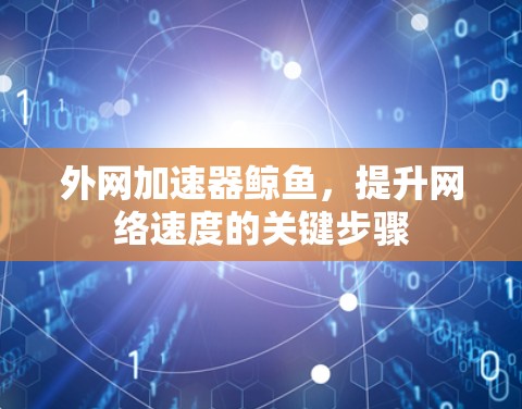外网加速器鲸鱼,提升网络速度的关键步骤 外网加速器鲸鱼,提升网络速度的关键步骤