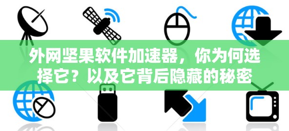 外网坚果软件加速器,你为何选择它?以及它背后隐藏的秘密 外网坚果软件加速器,你为何选择它?以及它背后隐藏的秘密
