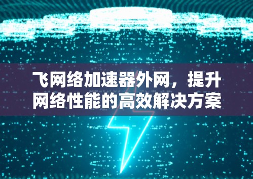 飞网络加速器外网，提升网络性能的高效解决方案