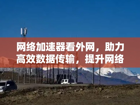 网络加速器看外网，助力高效数据传输，提升网络体验