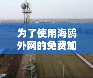 为了使用海鸥外网的免费加速器,您可以按照以下步骤进行 为了使用海鸥外网的免费加速器,您可以按照以下步骤进行