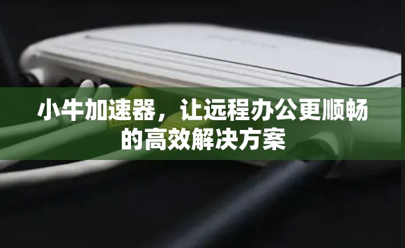 小牛加速器，让远程办公更顺畅的高效解决方案