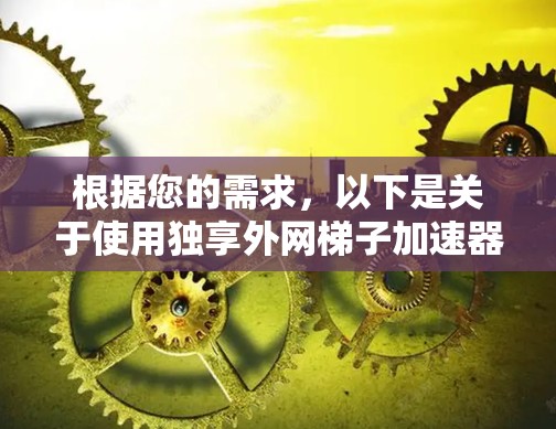 根据您的需求，以下是关于使用独享外网梯子加速器的全面分析和建议