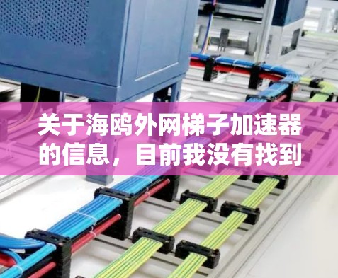 关于海鸥外网梯子加速器的信息，目前我没有找到相关的详细信息。以下是一些可能的解释和建议