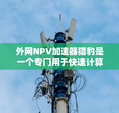 外网NPV加速器猎豹是一个专门用于快速计算和分析NPV的外部加速工具,支持多种数据格式转换和快速计算。以下是它的主要特点和功能 外网NPV加速器猎豹是一个专门用于快速计算和分析NPV的外部加速工具,支持多种数据格式转换和快速计算。以下是它的主要特点和功能