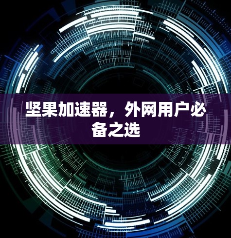 坚果加速器，外网用户必备之选