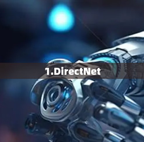 1.DirectNet 1.DirectNet