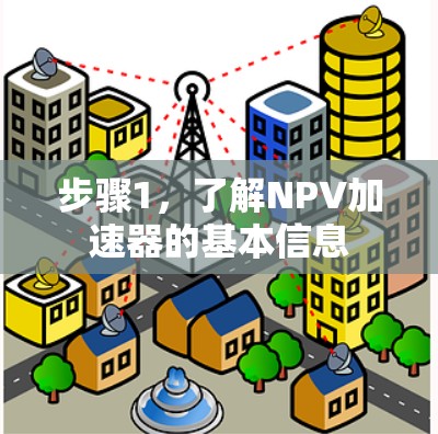步骤1,了解NPV加速器的基本信息 步骤1,了解NPV加速器的基本信息