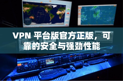 VPN 平台版官方正版，可靠的安全与强劲性能