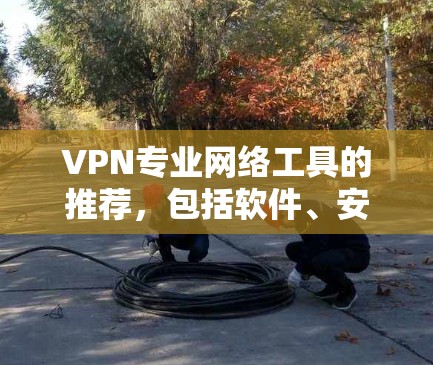 VPN专业网络工具的推荐,包括软件、安全工具、限制功能、价格、兼容性和定制化选项。以下是详细的分步指南,供您参考 VPN专业网络工具的推荐,包括软件、安全工具、限制功能、价格、兼容性和定制化选项。以下是详细的分步指南,供您参考
