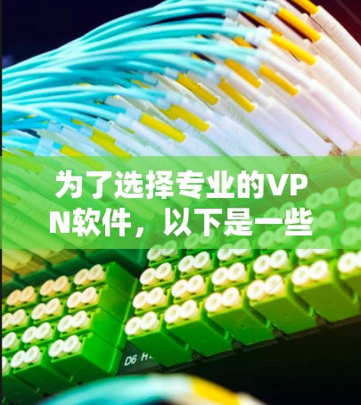 为了选择专业的VPN软件，以下是一些关键点和建议