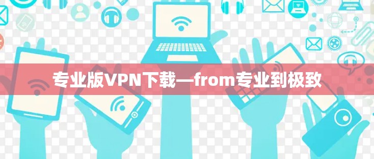 专业版VPN下载—from专业到极致 专业版VPN下载—from专业到极致