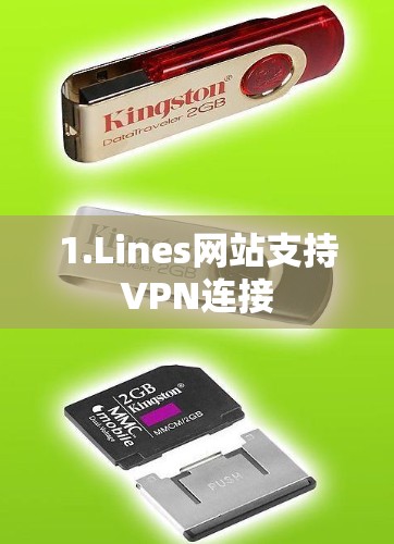 1.Lines网站支持VPN连接 1.Lines网站支持VPN连接