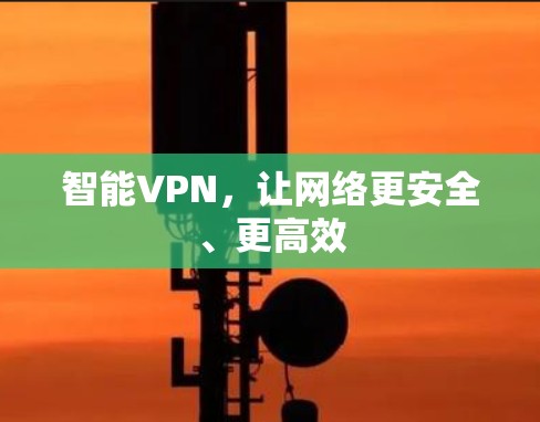 智能VPN,让网络更安全、更高效 智能VPN,让网络更安全、更高效