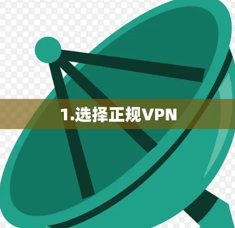 1.选择正规VPN