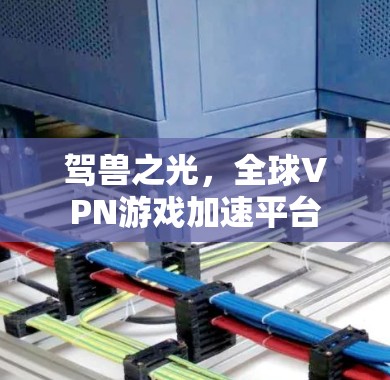 驾兽之光，全球VPN游戏加速平台