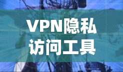VPN隐私访问工具是保护用户隐私和数据安全的重要技术。以下是对该技术的系统总结 VPN隐私访问工具是保护用户隐私和数据安全的重要技术。以下是对该技术的系统总结