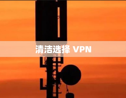 清洁选择 VPN