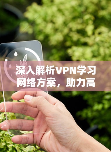 深入解析VPN学习网络方案,助力高效学习体验 深入解析VPN学习网络方案,助力高效学习体验