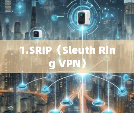 1.SRIP(Sleuth Ring VPN) 1.SRIP(Sleuth Ring VPN)