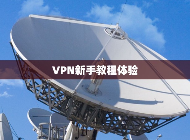 VPN新手教程体验 VPN新手教程体验
