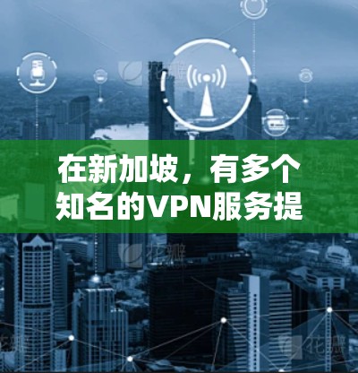 在新加坡，有多个知名的VPN服务提供商，例如