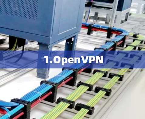 1.OpenVPN 1.OpenVPN