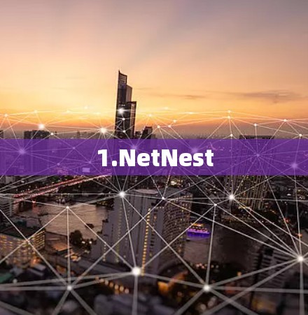 1.NetNest 1.NetNest