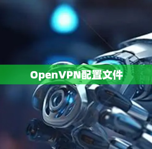 OpenVPN配置文件 OpenVPN配置文件