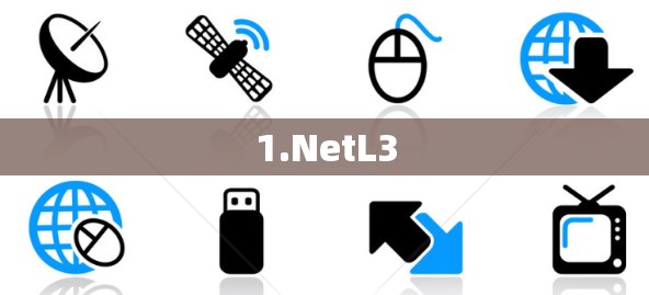 1.NetL3 1.NetL3