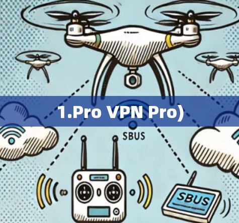1.Pro VPN Pro) 1.Pro VPN Pro)