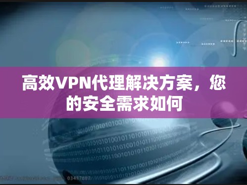 高效VPN代理解决方案,您的安全需求如何 高效VPN代理解决方案,您的安全需求如何