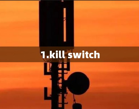 1.kill switch 1.kill switch
