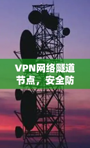 VPN网络隧道节点,安全防护的关键 VPN网络隧道节点,安全防护的关键