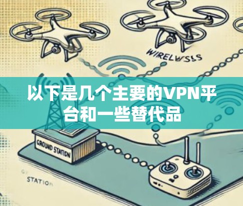 以下是几个主要的VPN平台和一些替代品